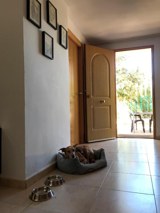 Villa Jazmin Monachil Buitenkant foto